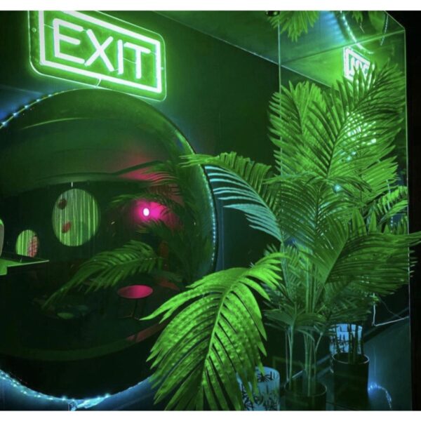 Exıt Çıkış Neon Tabela 20x40cm
