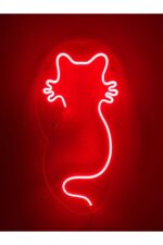 Kedi Neon Led Duvar Yazısı Dekoratif Işıklı Gece Lambası Duvar Süsü