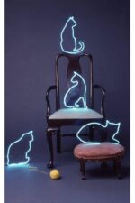Neon Led Aydınlatma Catz3 Gece Lambası Parti Süsü Işıklı Duvar Dekor - Görsel 2