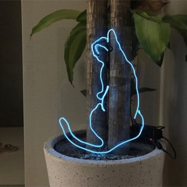 Neon Led Aydınlatma Catback Gece Lambası Parti Süsü Işıklı Duvar Dekor