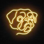 Pug Neon Led Tabela Dekoratif Aydınlatma