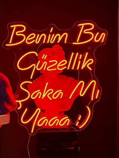 Benim bu güzellik şaka mı yağğğ neon led