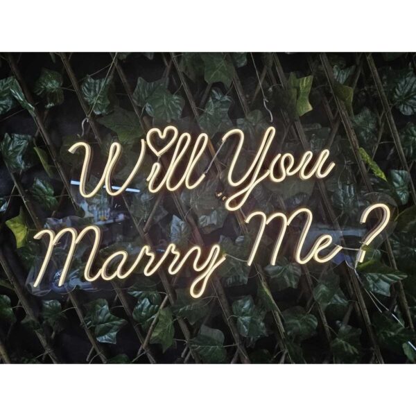 Will You Marry Me? Neon Led Işık 40*60 cm