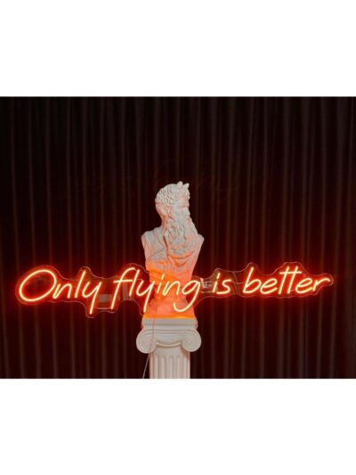Only flying neon led