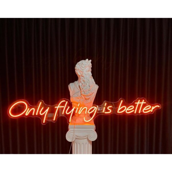 Only flying neon led