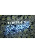 It Wall All A Dream Neon Tabela Neon Yazı Dekoratif Aydınlatma - Görsel 2