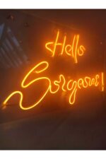 Hello Gorgeous Neon Şekiller Işaret Neon Led Dekoratif Duvar Aydınlatması Neon Duvar Yazısı - Görsel 3