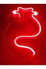 Kedi Neon Led Duvar Yazısı Dekoratif Işıklı Gece Lambası Duvar Süsü - Görsel 4