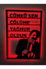 Müslüm Gürses 16 Renkli Rgb Kumandalı Led Işıklı Tablo - Görsel 4