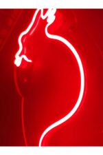 Kedi Neon Led Duvar Yazısı Dekoratif Işıklı Gece Lambası Duvar Süsü - Görsel 5