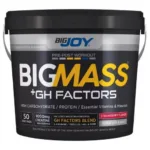 Bigjoy Sports-Bigmass Gh Factors Çilek 5kg KOVA
