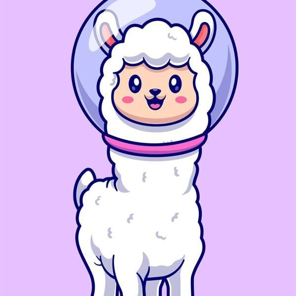 Sayılarla Boyama Seti Astro Lama