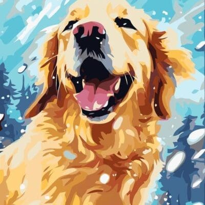 sayilarla boyama seti can dostum 3 72fd