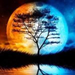 Sayılarla Boyama Seti Dolunay Ağacı