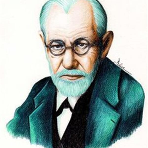 Sayılarla Boyama Seti Freud