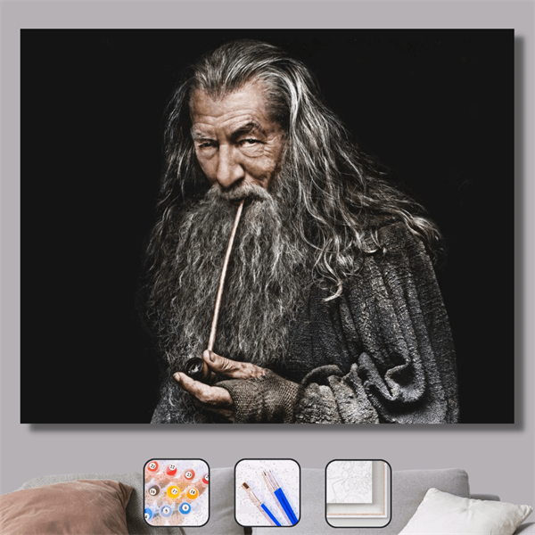Sayılarla Boyama Seti Gri Gandalf Yüzüklerin Efendisi