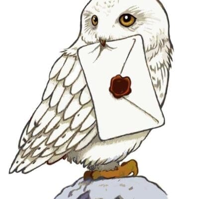 sayilarla boyama seti harry potter bay 9 173f