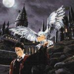 Sayılarla Boyama Seti Harry Potterin Baykuşu
