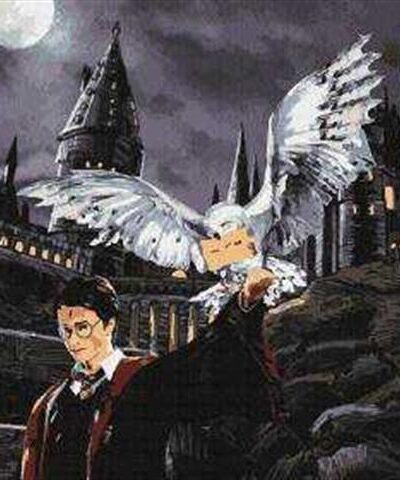 Sayılarla Boyama Seti Harry Potterin Baykuşu