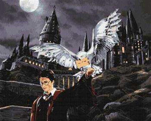 Sayılarla Boyama Seti Harry Potterin Baykuşu