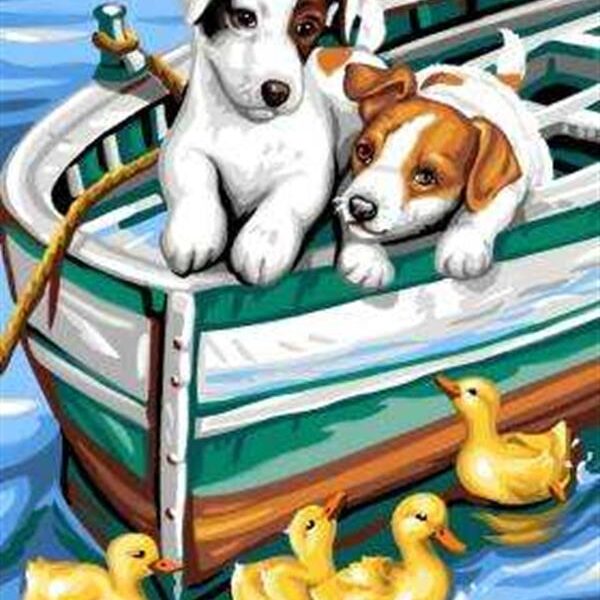 Sayılarla Boyama Seti Köpek Ve Ördekler