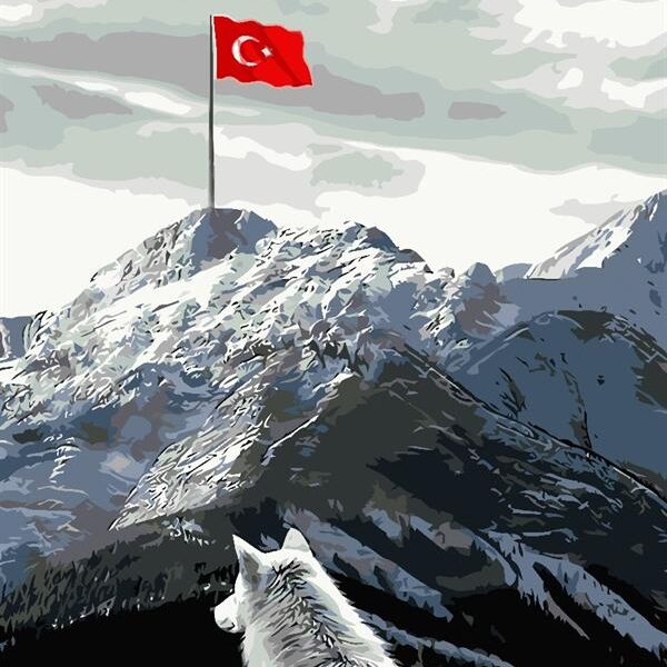 Sayılarla Boyama Seti Kurt Ve Bayrak