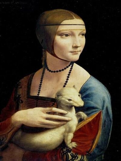 Sayılarla Boyama Seti Leonardo Da Vinci