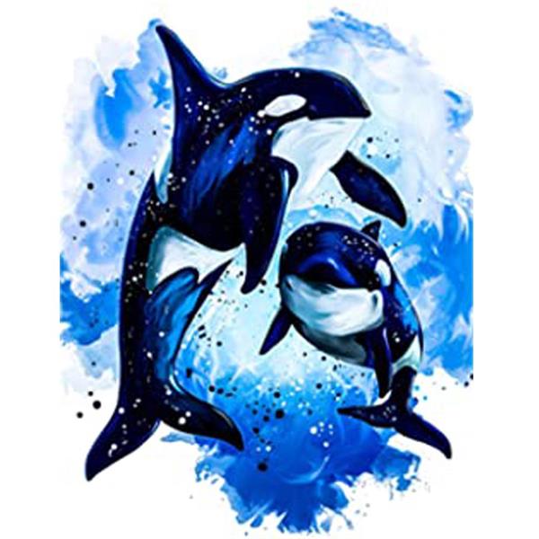 Sayılarla Boyama Seti Mavi Sular Ve Orca