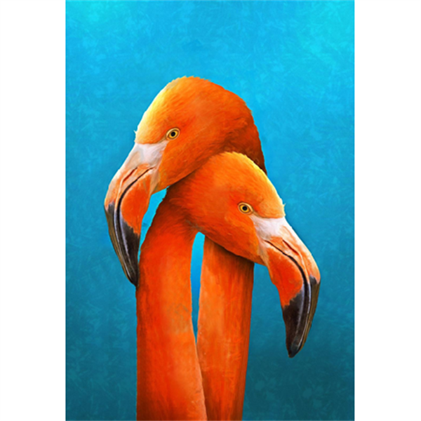 Sayılarla Boyama Seti Sarılan Flamingo