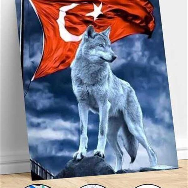 Sayılarla Boyama Seti Tepedeki Kurt