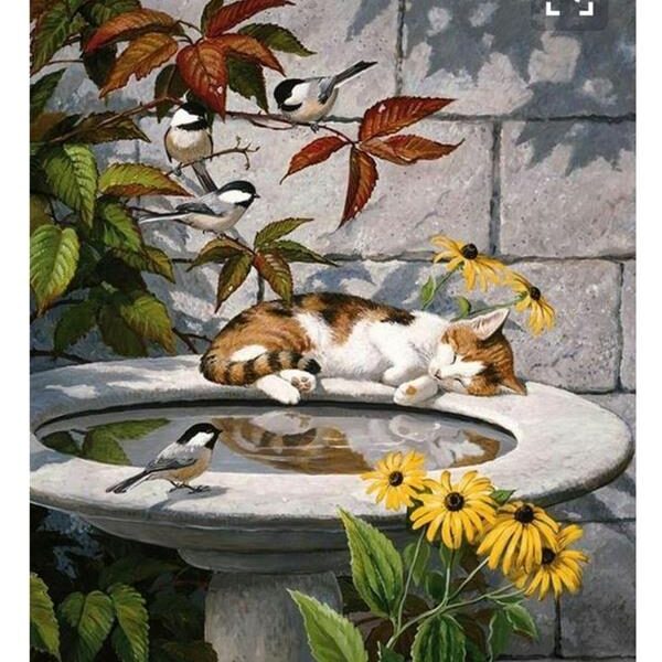 Sayılarla Boyama Seti Uyuyan Kedi Ve Kuşlar