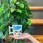 Balık Figürlü İsimli Fincan Kupa Mug