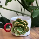 Yeşil Güllü Fincan Mug Altlığı ile