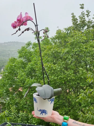 Altı Delikli Filli Seramik Saksı