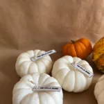Balkabağı Mumlar